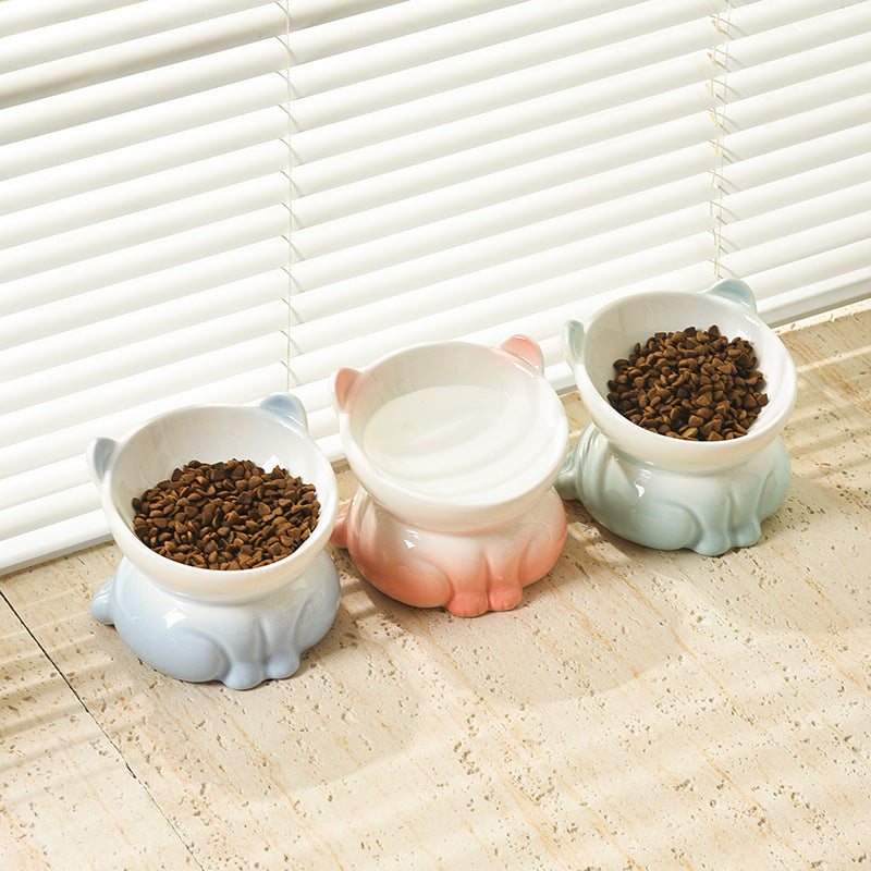 Pet Ceramic Bowl