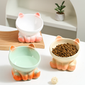 Pet Ceramic Bowl